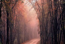 2022金球獎 本澤馬實至名歸 庫爾圖瓦獲最佳門將.