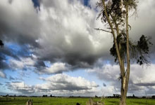 新主帥人選確定?曝範加爾希望執教德國隊!.